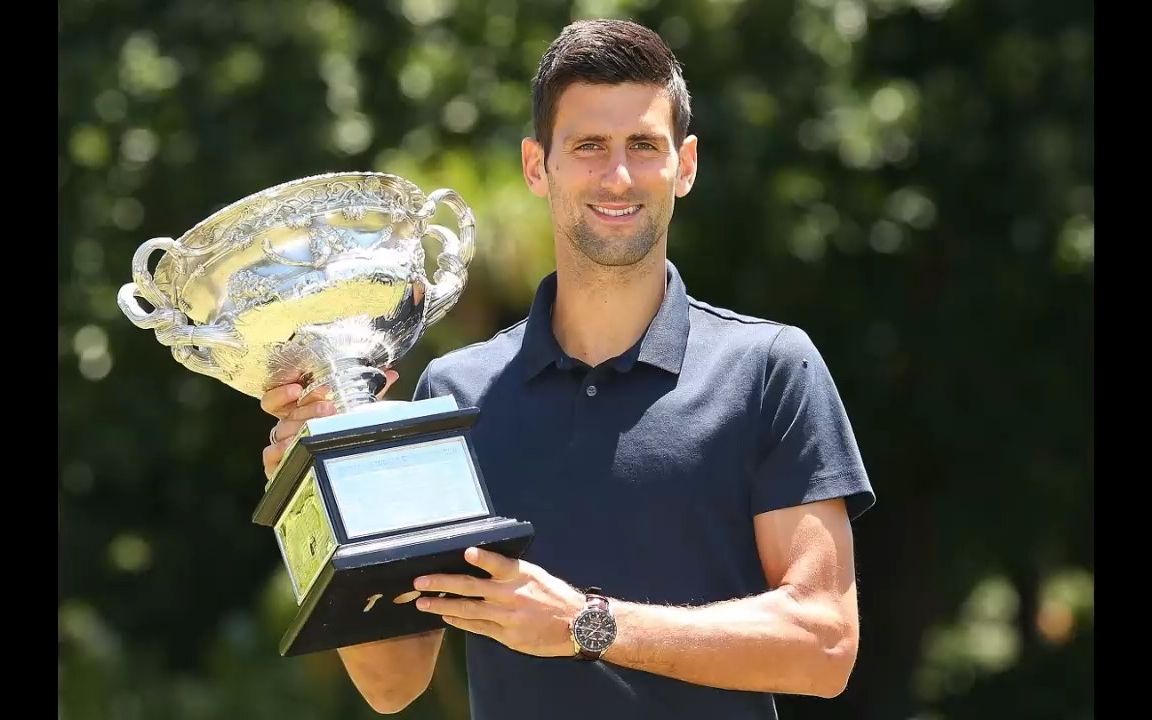 供了新的分 供了新的分