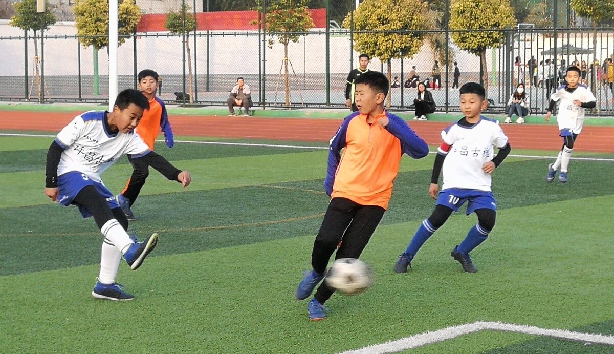 那不勒斯的 那不勒斯的